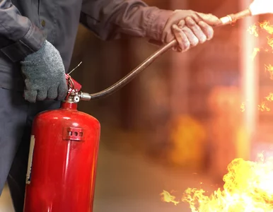 Miniatura: Pożar hali pod Zieloną Górą. Prokuratura...