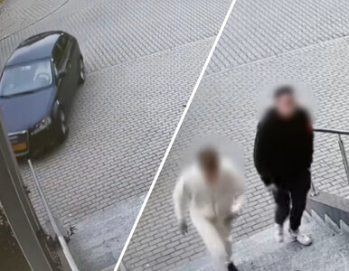 Miniatura: 19-latek poprosił policję o badanie...