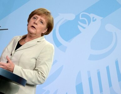 Miniatura: Merkel: Niemcy są silni, ale sami euro nie...