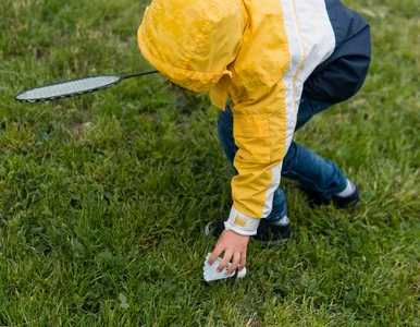 Miniatura: Zrób to z trawnikiem przed zimą, a wiosną...