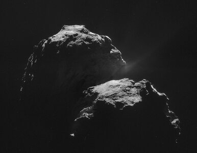 Miniatura: Pierwsze dane z jądra komety: Wykryto...