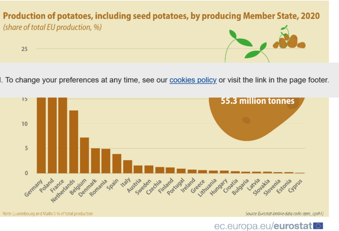 Produkcja ziemniaków