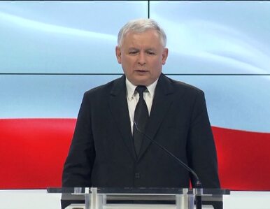 Miniatura: Jarosław Kaczyński: Będziemy bronić Lasów...