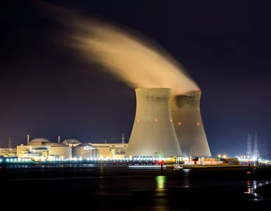 Miniatura: Kadry dla atomu – 10 tys. osób. Polskie...