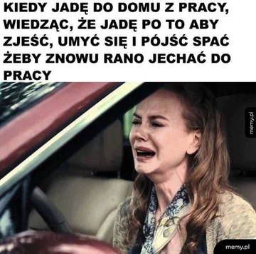 Praca, praca i jeszcze raz praca. Internauci tworzą MEMY 
