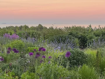 Ogród projektu Mariann Gundersen Scandinavian Design Awards, ogród, Mariann Gundersen