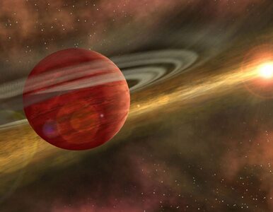 Miniatura: Naukowcy odkryli nową egzoplanetę w wieku...