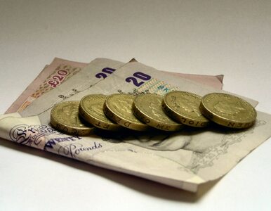 Miniatura: Minimalna płaca w Londynie - 36 złotych za...