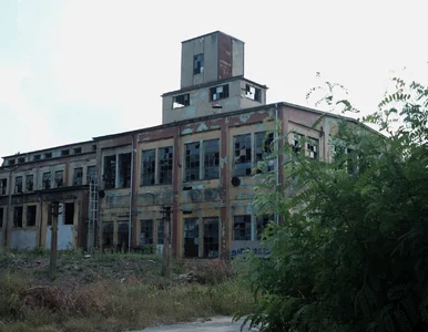 Miniatura: Koktajl chemikaliów pod Bydgoszczą....