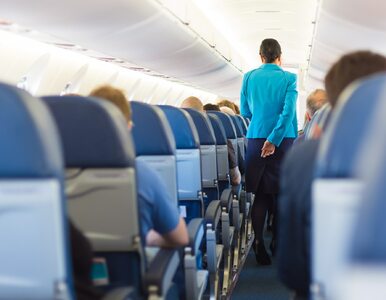 Co pasażerowie kradną z samolotów? Najczęściej znikają konkretne rzeczy