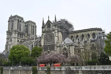 Katedra Notre Dame po pożarze 