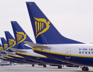 Miniatura: Strajk pilotów Ryanaira. Przewoźnik...