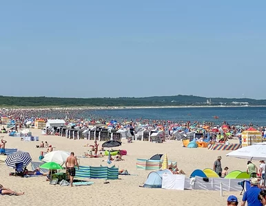 Miniatura: Wzywasz pomoc na plaży? Ratownicy...