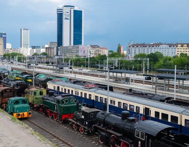 Miniatura: Od 80 lat były w Niemczech. 11 skarbów...