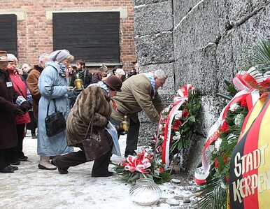 Miniatura: 67. rocznica wyzwolenia Auschwitz:...