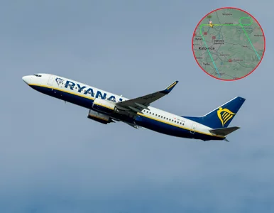 Miniatura: Samolot Ryanair zawrócił na lotnisko w...