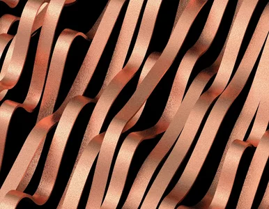 Miniatura: Odkrycie złóż miedzi w Polsce....