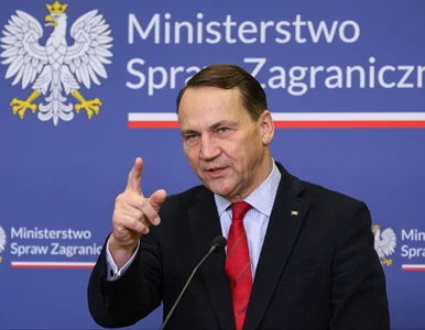 Miniatura: Sikorski ostro o przeciwnikach programu...