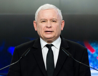 Miniatura: Kaczyński zachęca do głosowania na...
