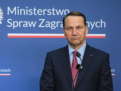 Miniatura: Sikorski wskazał, dlaczego Nawrocki...