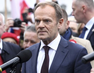 Miniatura: Donald Tusk: To dobry moment, żeby się...