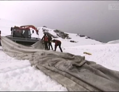 Miniatura: Szwajcarzy przykrywają lodowiec... kocami....