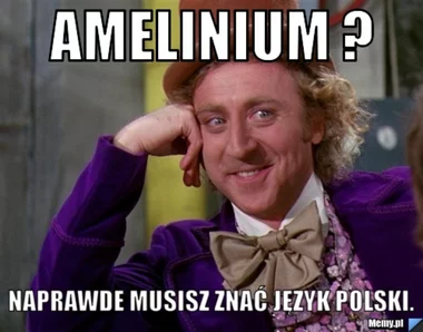 Język polski jest bardzo skomplikowany. Internauci tworzą memy