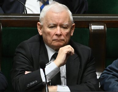 Miniatura: CBA zatrzymało dyrektor z Kancelarii...