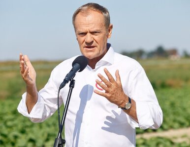 Miniatura: Tusk odpowiedział na akcję PiS. Sięgnął po...