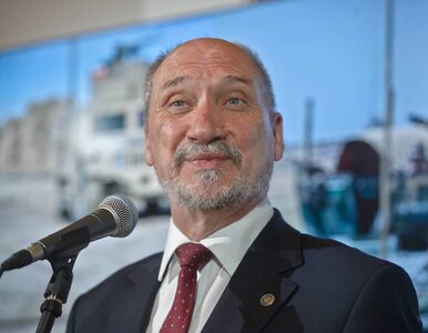 Miniatura: Macierewicz: Badania dotyczące katastrofy...