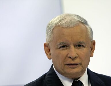 Miniatura: Wiceszef PO: Kaczyński może zdobyć ogromną...