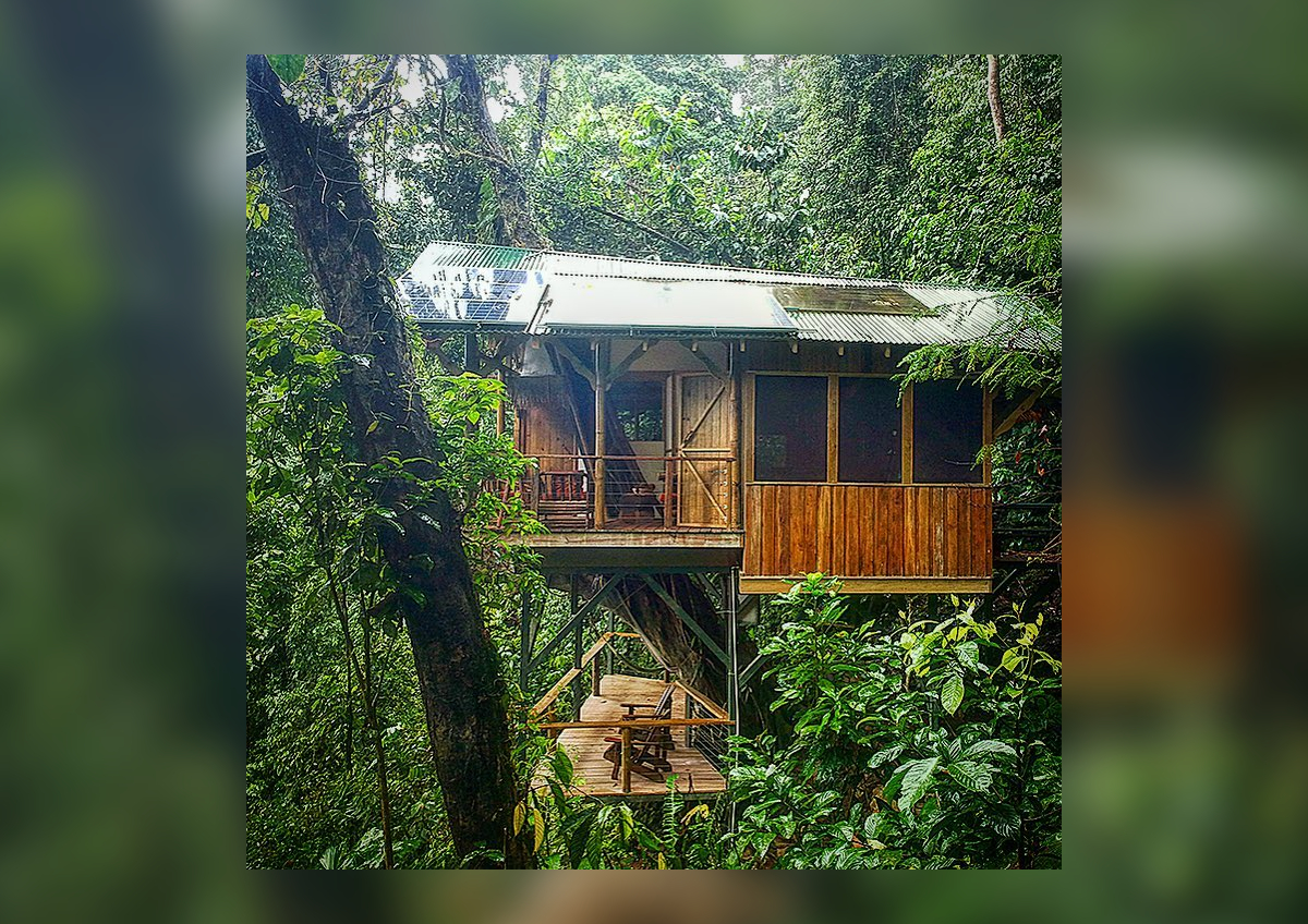 Finca Bellavista Treehouse Community, Kostaryka 