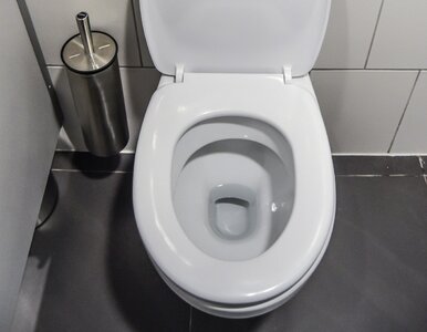 Miniatura: Wciskam mokry papier pod rant toalety i...