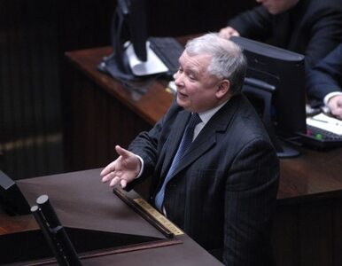 Miniatura: Kaczyński: nie było trotylu? To wygląda na...