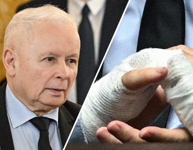 Miniatura: Dłoń Jarosława Kaczyńskiego przykuła uwagę...