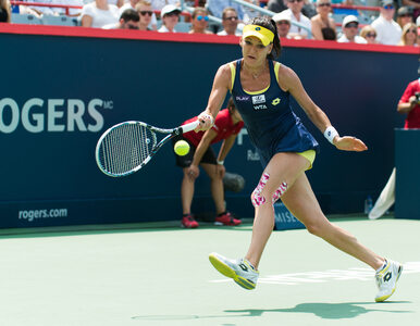 Miniatura: Ranking WTA: Radwańska wygrała w Toronto,...