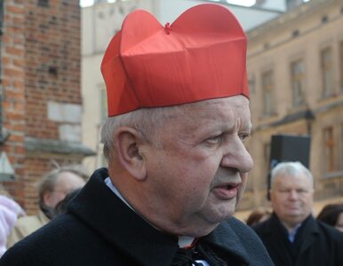 Miniatura: Kardynał Dziwisz legatem papieskim na Litwie