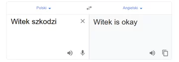 Tłumacz Google i fraza „Witek szkodzi” 