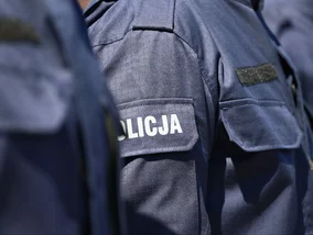 Miniatura: Pijany policjant staranował ogrodzenie....