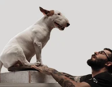 Miniatura: Został mu tylko pies. Stworzyli duet i...