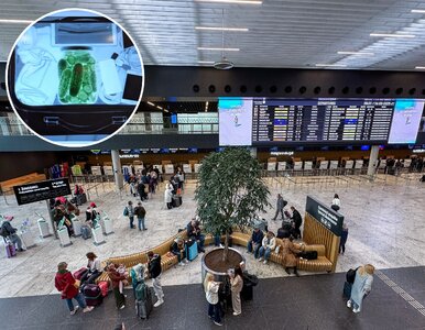 Miniatura: Płyny i urządzenia zostają w bagażu. Dwa...