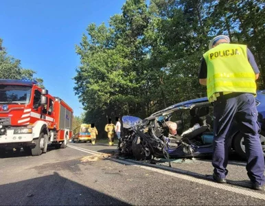 Miniatura: Dramatyczny wypadek na DK63 niedaleko...