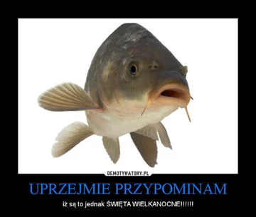 Świąteczne memy 