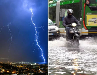 Miniatura: 12-godzinny armagedon w Toskanii. Ponad...