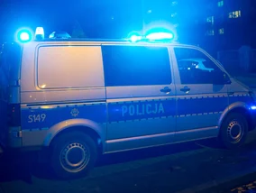 Miniatura: Policja rozpracowała proceder. Przestępców...