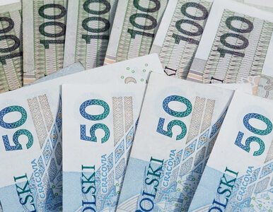 Miniatura: Jak Polacy oszczędzają pieniądze. Raport