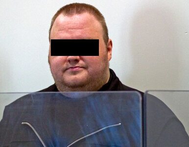 Miniatura: 20 lat więzienia dla twórcy Megaupload.com?