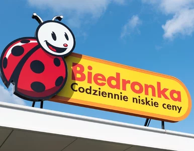 Miniatura: Produkty wakacyjne już w Biedronce. Ceny...