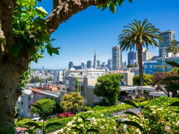 Miniatura: LOT z nowym hitem dla Polaków....