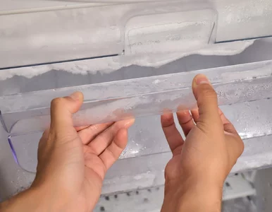 Miniatura: Rozcieńcz 1:3 i przetrzyj zamrażalnik. Lód...